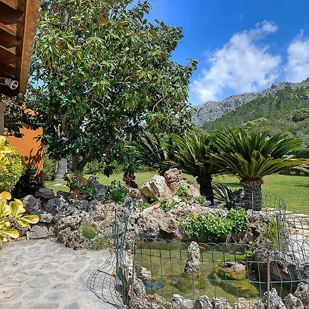 Papa Bisquerra Villa *
